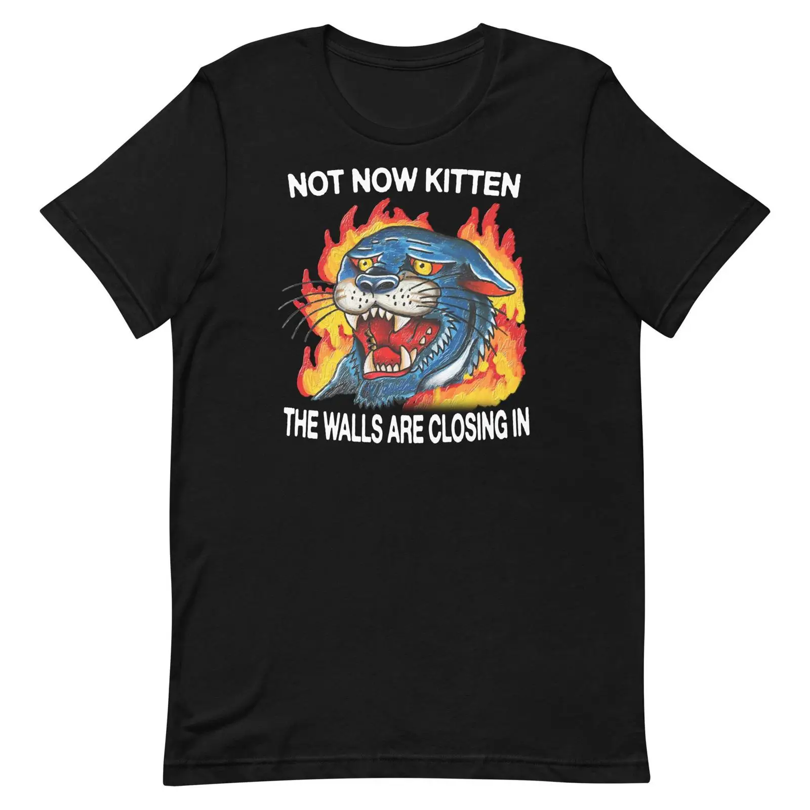 Not Now Kitten t shirt vintage - đánh giá và giá Vintage Fashion Now